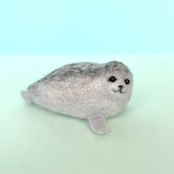 ワモンあざらし Ringed Seal(受注生産) 1枚目の画像