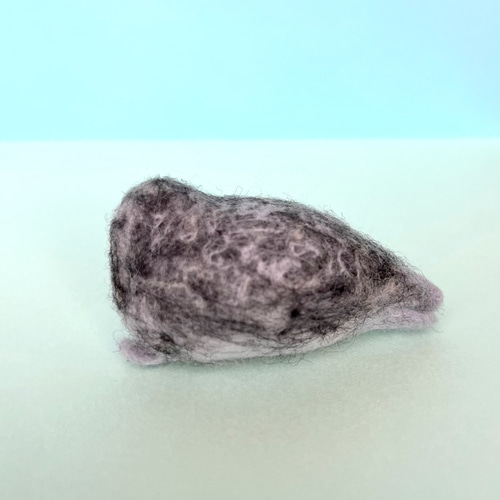 ワモンあざらし Ringed Seal(受注生産) 羊毛フェルト もちょも