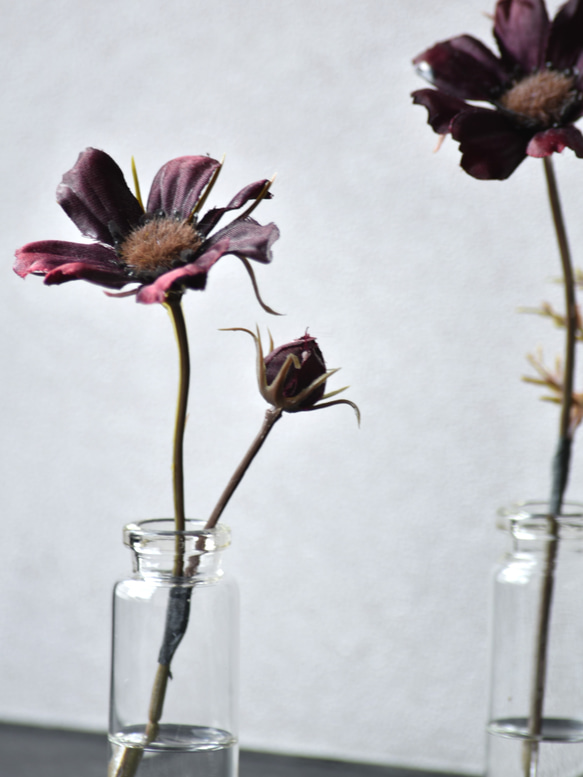 咲き続けるチョコレートコスモス(３点セット)　マジカルウォーター　癒しのフラワーインテリア　アーティフィシャルフラワー 7枚目の画像