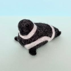 クラカケあざらし Ribbon Seal(受注生産) 羊毛フェルト もちょも