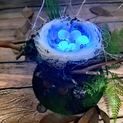 鳥の巣ランプ シミュレーション鳥の巣ランプ ナイトライト 状況ランプ 癒し 鳥の巣ランプ モデリングランプ クリエイティブナイト 15枚目の画像