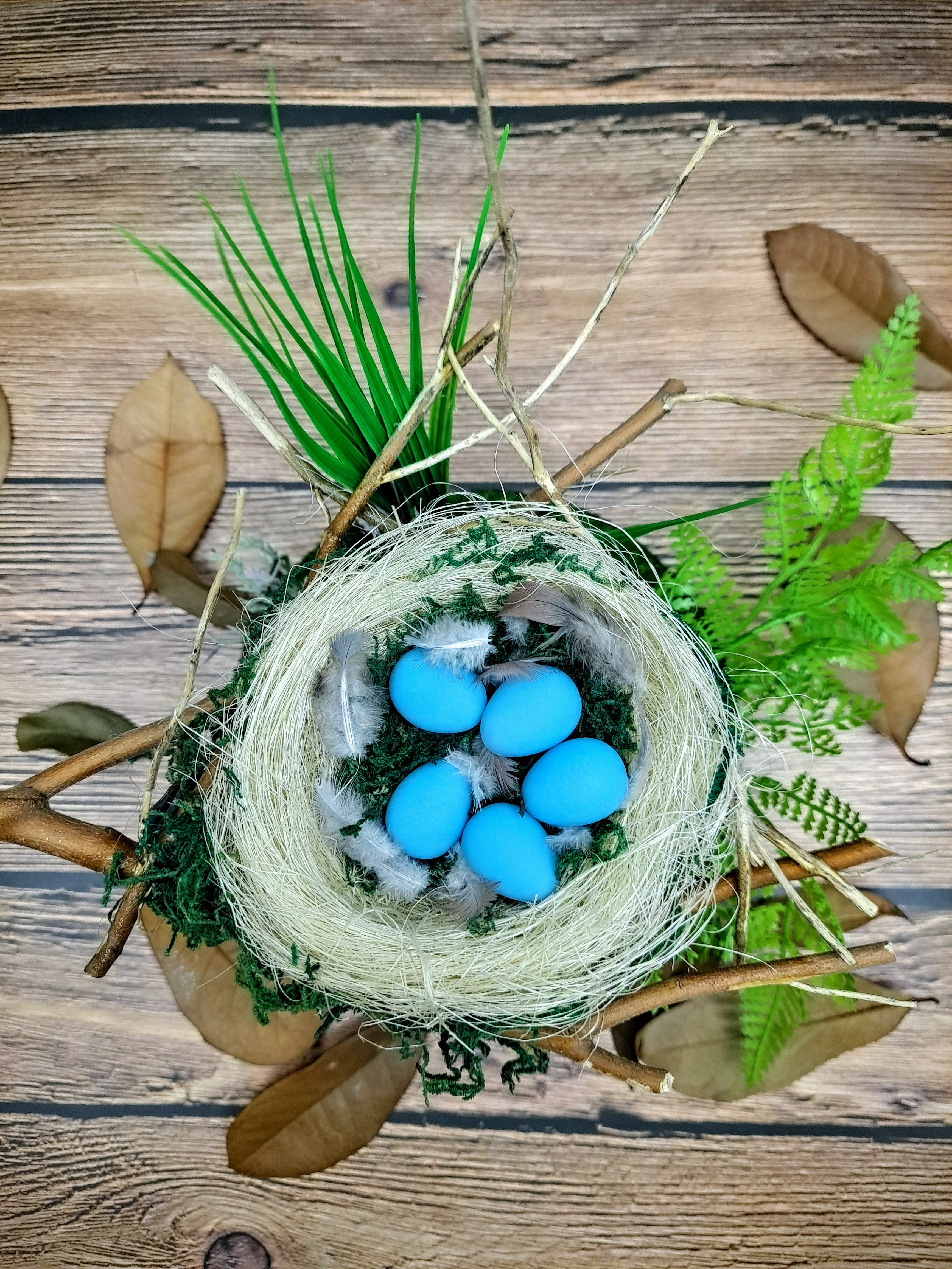 鳥の巣 50個の巣と、50種の鳥たち 写真集 写真集 鳥の巣 50個の巣と、50種の鳥たち | シャーロン