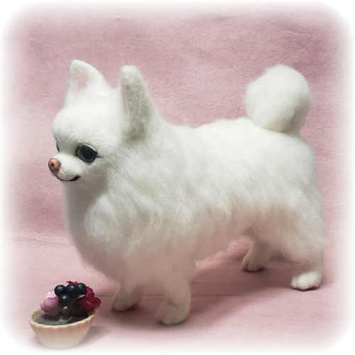 羊毛フェルト オーダー 「リアルで可愛いワンちゃんネコちゃん」うちの