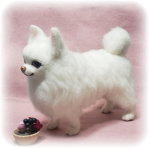 羊毛フェルト オーダー 「リアルで可愛いワンちゃんネコちゃん」うちの子 ペット 犬 ぬいぐるみ チワワ いぬ そっくり 800円 送料込み