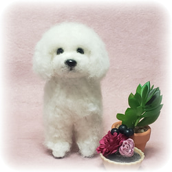 あおさま専用 羊毛フェルト オーダー 「リアルで可愛いワンちゃん」 羊毛フェルト オーダー「リアルで可愛いワンちゃん(ネコちゃん