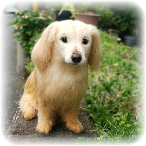 羊毛フェルト オーダー 「リアルで可愛いワンちゃんネコちゃん」うちの