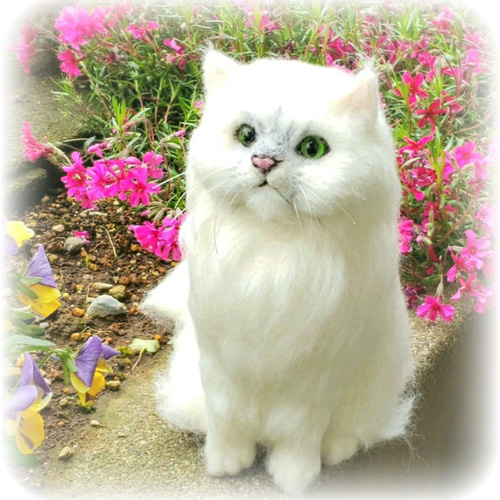 羊毛フェルト オーダー 「リアルで可愛いワンちゃんネコちゃん」うちの