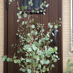 6277c9146ca93fdafe8ac5d26a93c9