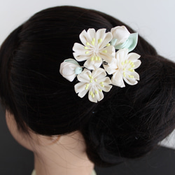 変わり白桜のつまみ細工　髪飾り　成人式、卒業式、結婚式、七五三 5枚目の画像