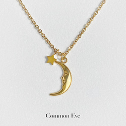 Common Eve ムーンネックレス /付けっぱなしOK/金属アレルギー対応 1枚目の画像