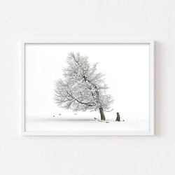 【冬 景色 アートポスター】雪 木 風景写真 インテリア雑貨 クリスマス 飾り モダンアート 壁掛け 7枚目の画像
