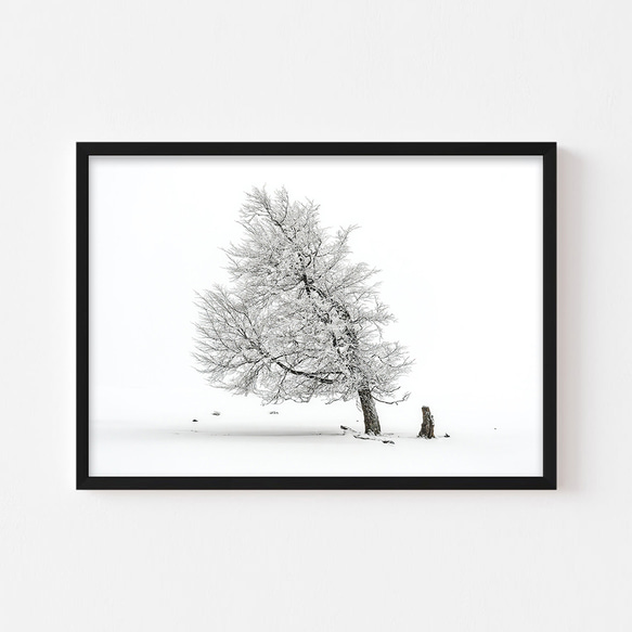 【冬 景色 アートポスター】雪 木 風景写真 インテリア雑貨 クリスマス 飾り モダンアート 壁掛け 8枚目の画像
