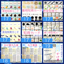 選択販売 5枚目の画像