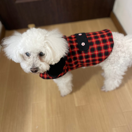 犬服 保っちゃん ハンドメイド ご確認 犬服 ご確認画像 ハンドメイド