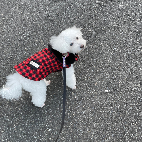 着画です⭐ハンドメイド犬の服