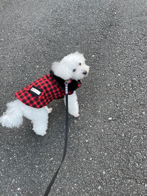 ハンドメイド犬服　シニア犬　着脱簡単コート　オーダー頁　薄手コート　チェック柄コート　犬服コート　 17枚目の画像