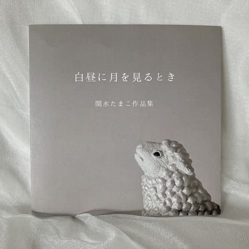 白昼に月を見るとき 関水たまこ初作品集 ZINE・小冊子 TAMA-PUCA 通販