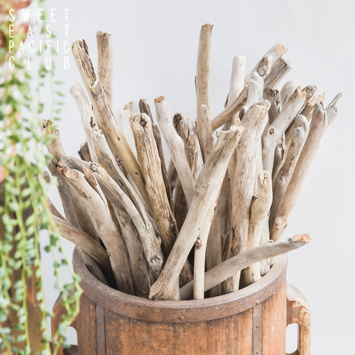 流木インテリアハンガーno.39 NO.276『流木ハンガー・フック付き