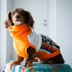 犬服 スタイリッシュなダックスちゃんのハイネックタンクトップ 豹柄