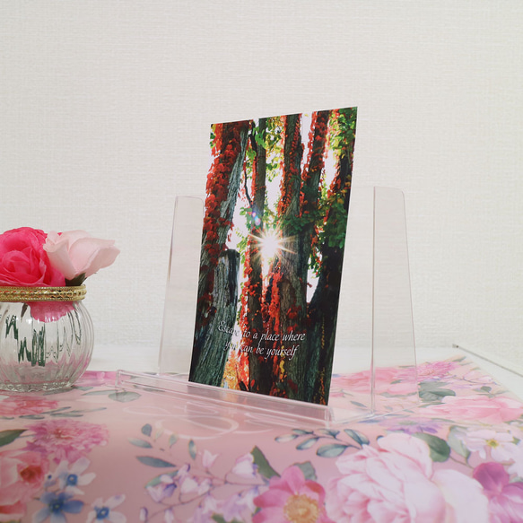 【No.001】紅葉景色 ポストカード1枚 裏無地 3枚目の画像