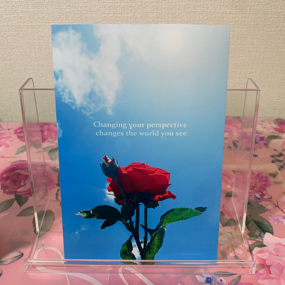 【No.004】薔薇 ポストカード1枚　裏無地 1枚目の画像