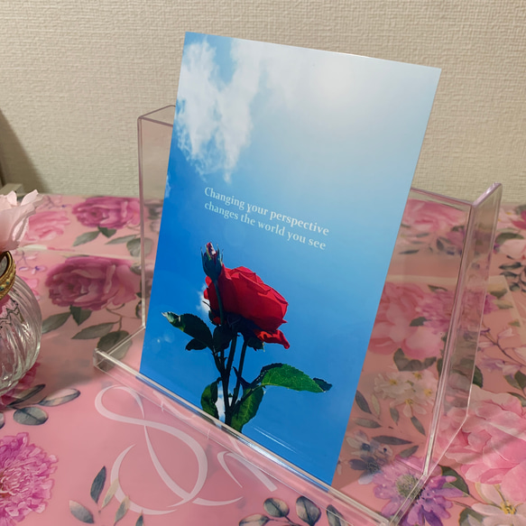 【No.004】薔薇 ポストカード1枚　裏無地 2枚目の画像