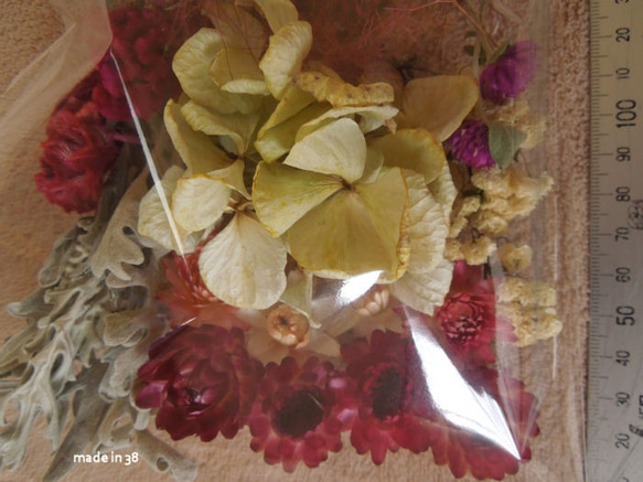 ドライフラワー　シロタエギク　貝細工　スモークツリー　ユキヤナギ　アジサイ　ケイトウ　ヘッド　リース　花材　材料 4枚目の画像