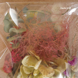 ドライフラワー　シロタエギク　貝細工　スモークツリー　ユキヤナギ　アジサイ　ケイトウ　ヘッド　リース　花材　材料 3枚目の画像