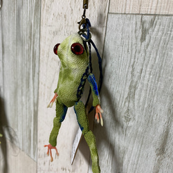 蛙の皮(アカメアマ) 2枚目の画像