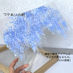 - Creema限定 ワケありな逸品 - 花と草木のワケあり作品集2 8枚目の画像