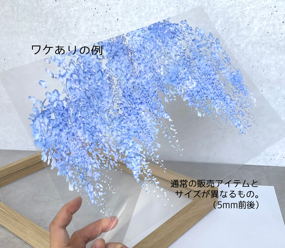 - Creema限定 ワケありな逸品 - 花と草木のワケあり作品集2 8枚目の画像