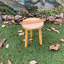 ☆1番人気セット☆ガーデンピック5本セット カントリー雑貨 その他