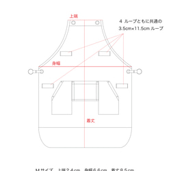  第3張的照片