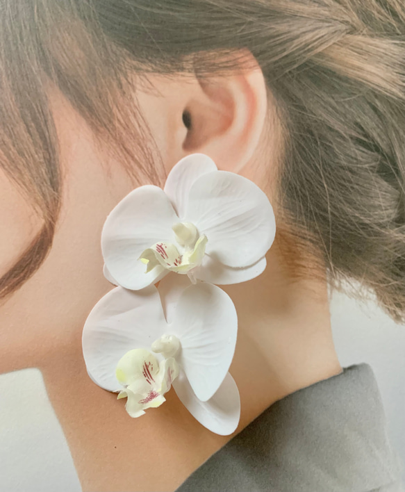 胡蝶蘭×アシンメトリー】 ドライフラワー ピアス・イヤリング