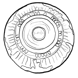 【4-1Ceramics - Speak freely】Plate , 平面的盛器 , 陶器 第5張的照片