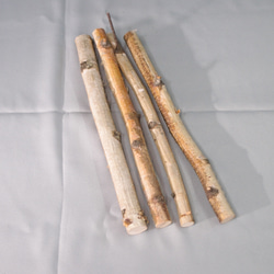 シラカバ枝　30㎝　4本 1枚目の画像