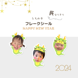 年賀状 2024 辰年♡ うちの子 フレークシール 1枚目の画像