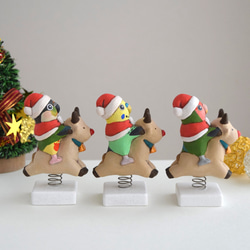 [訂做] 聖誕老人鸚鵡 第5張的照片