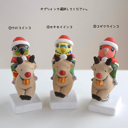 [訂做] 聖誕老人鸚鵡 第3張的照片