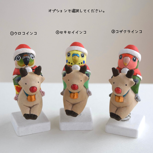 [訂做] 聖誕老人鸚鵡 第3張的照片