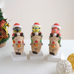 [訂做] 聖誕老人鸚鵡 第1張的照片