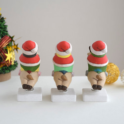 [訂做] 聖誕老人鸚鵡 第7張的照片