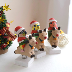 [訂做] 聖誕老人鸚鵡 第2張的照片