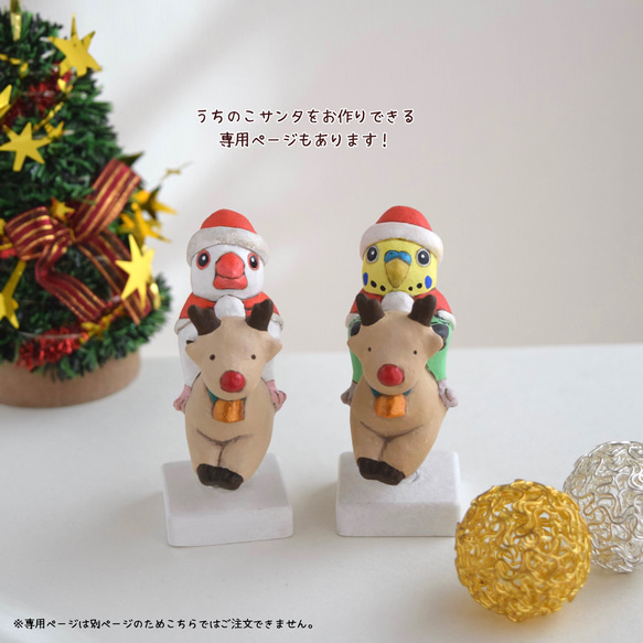 [訂做] 聖誕老人鸚鵡 第4張的照片