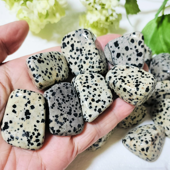 ダルメシアンジャスパータンブル 約15～20g 長辺約2～3cm 天然石