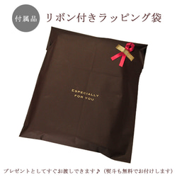 出産祝い ベビー 今治製 スタイ プレゼント ビブ よだれかけ おもしろ 3匹のアヒル あひる 鳥 動物 即納 8枚目の画像