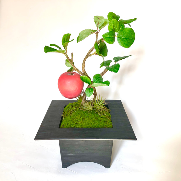 【和モダン】赤りんごの木盆栽風アレンジメント 5枚目の画像