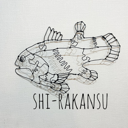 シーラカンス 深海魚 立体 壁掛け ワイヤーアート【受注販売
