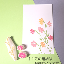 《＊季節の花＊》コスモスはんこ Type:A 5枚目の画像