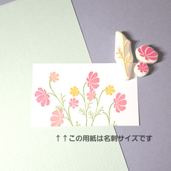 《＊季節の花＊》コスモスはんこ Type:B 3枚目の画像